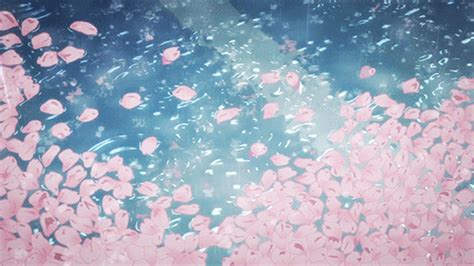 20 Sakura Blossoms  Images