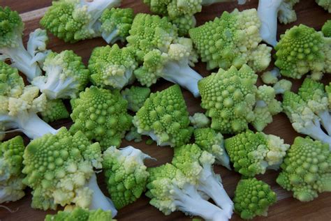 If i decide to use pots am looking romanesco broccoli seeds please. Everyone Is Obsessing Over Romanesco Broccoli - Garden ...