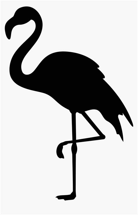 Free Flamingo Vector Silhouette, HD Png Download , Transparent Png