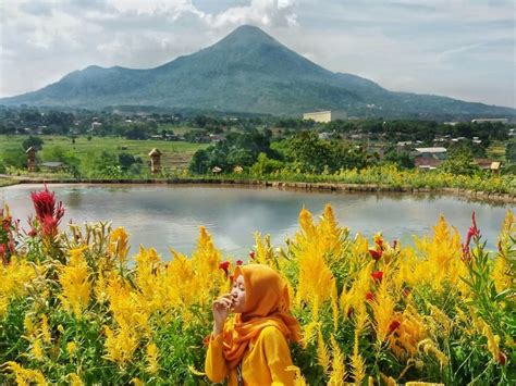 Bila anda ingin mengelilingi tempat wisata ini dengan naik dotto trains atau. Rute dan Harga Tiket Masuk Taman Bunga ADN Firdaus Pandaan, Destinasi Wisata Alam Yang Indah ...