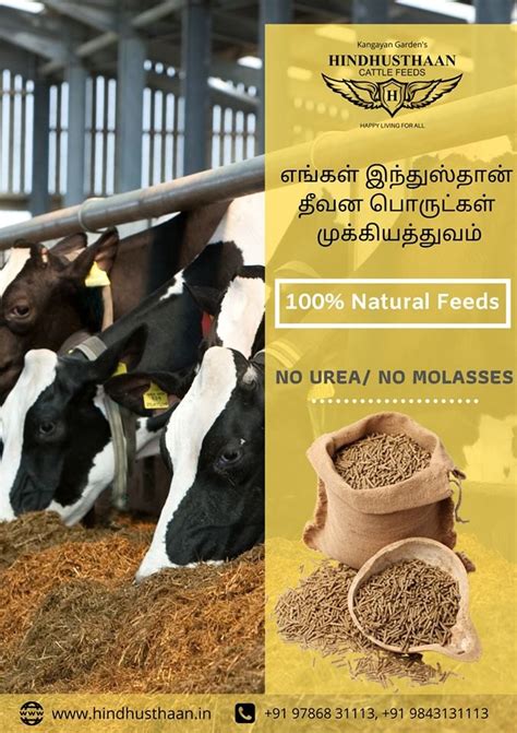 Store In A Dry Place Hindhusthaan Cattle Feed Packaging Type Pp Bag