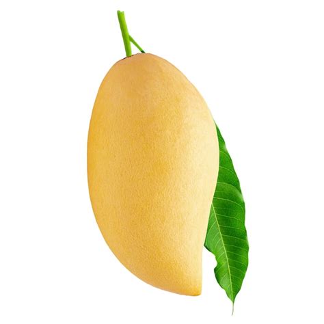 Premium Photo Yellow Mango Fruit Isolated