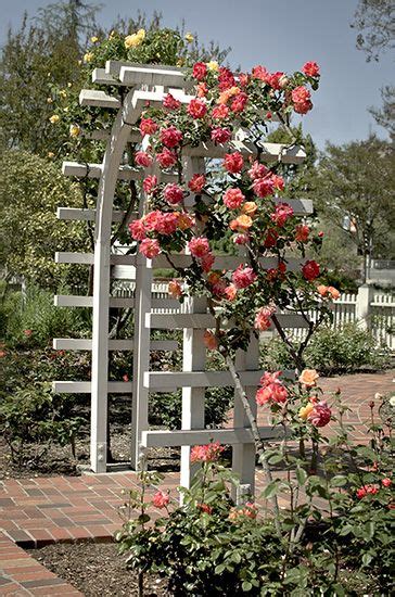 The curving pathway, garden trellis arch, and. 25 Awesome Garden Trellis Ideas | Flower trellis, Garden ...