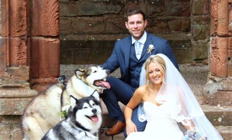 This Couple Chose Their Dogs As Maid Of Honour And Best Man Huffpost
