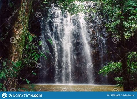 The Ellinjaa Falls In The Atherton Tablelands Queensland Stock Image