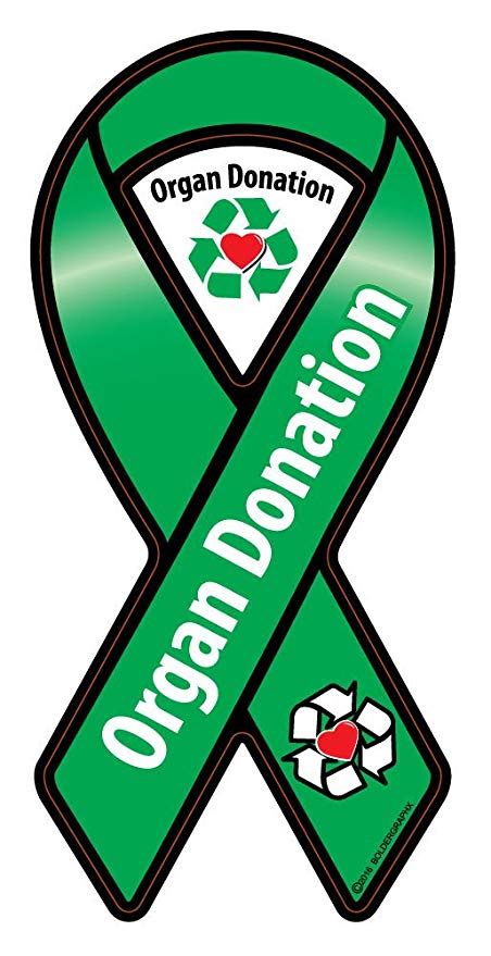 Organ Donation Ribbon Clip Art 10 Free Cliparts Download Images On