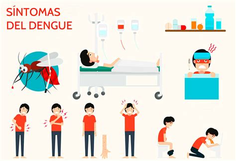 Síntomas Del Dengue Salud Al Día