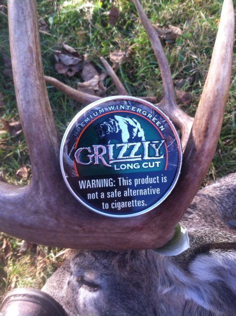 Grizzly Dip