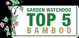 When browsing a local garden nursery, it's a good idea to know the warning signs that can suggest poor health in a bamboo house plant; Bamboo Garden Nursery