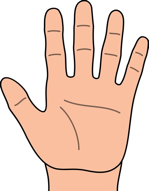 Free Number 1 Hand Cliparts Download Free Number 1 Hand Cliparts Png