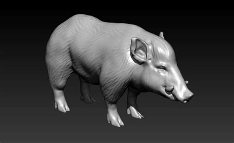 Hog 3d Models Download 3d Hog Available Formats C4d Max Obj Fbx