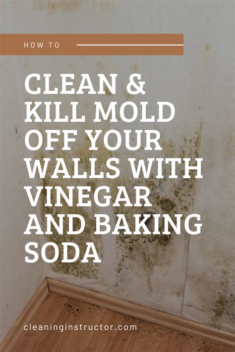 Why laundry detergent is ruining your towels. How To Clean & Kill Mold Off Your Walls With Vinegar And ...
