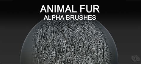 Buy Animal Fur Alpha Brushes For Sculpting