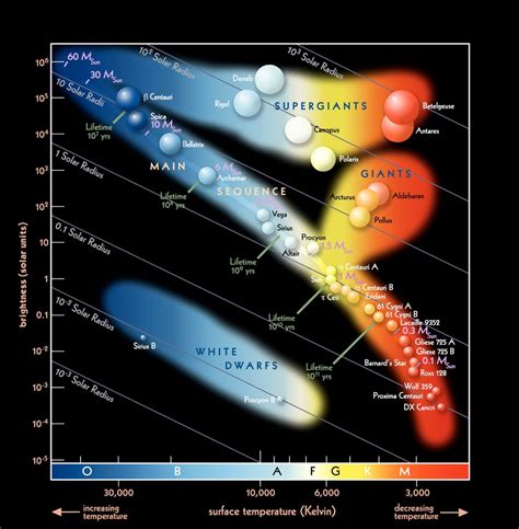 Cien Años Del Diagrama De Hertzsprung Russell El Gráfico Que Organizó