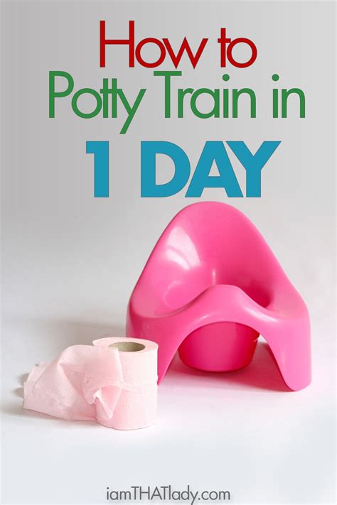 Potty Training At 18 Months Part 2 How I Potty Trained My 18 Month Old