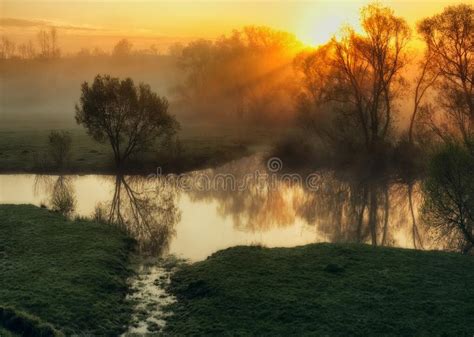 Morning A Picturesque Foggy Dawn By The River Stock Photo Image Of