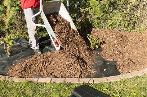 What To Know About Adding Mulch To Your Garden Northgate Greenhouses