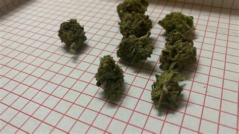 Because this allows hackers to track your online activities, to redirect you and. MonterreyCannabis.com Venta de Marihuana a domicilio en ...