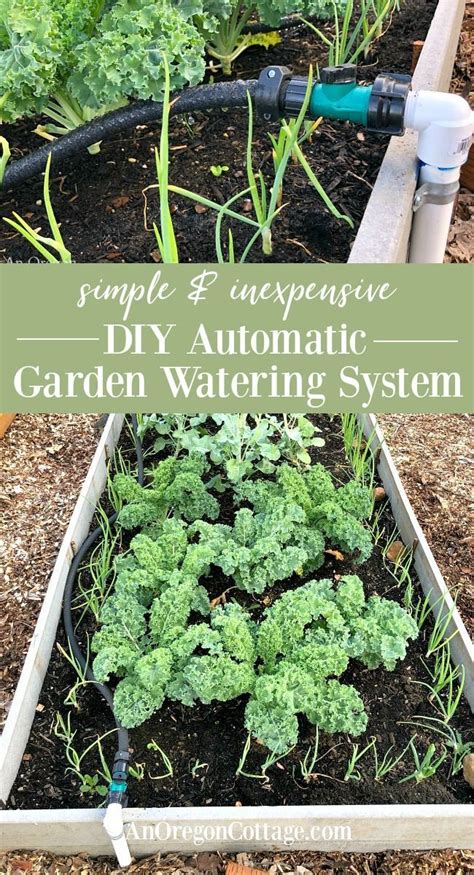 See our about us pages for information on how and why we support sustainable agriculture. DIY Garden Watering System - Easy & Inexpensive ...