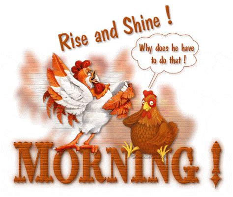 Share the best gifs now >>>. Good Morning GIF Animation Images And Videos | More