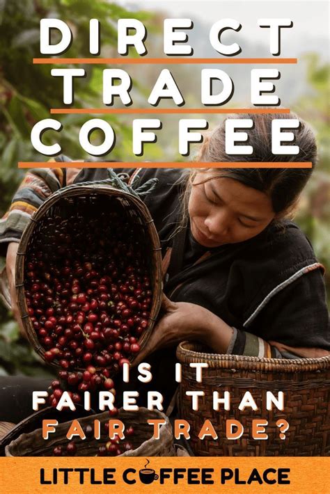 Direct Trade Vs Fair Trade Coffee Whats The Difference Fair Trade