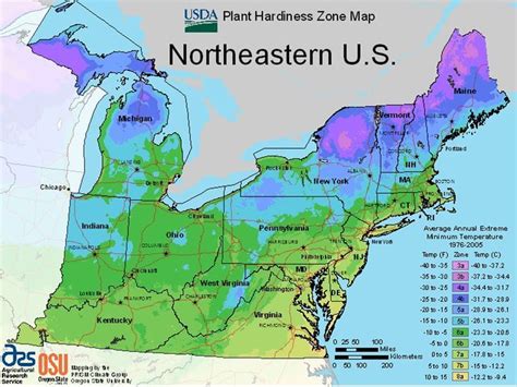 Find Your Usda Growing Zone By Region Growing Zones Map