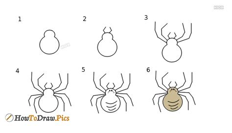 How To Draw Spider Pictures Spider Step By Step Drawing Lessons