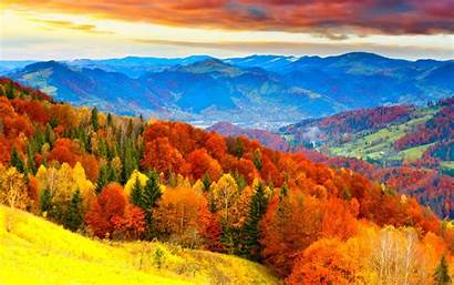 Autumn Nature Leaves Leaf Earth Forest Landscape