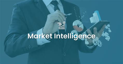 Market Intelligence Innovius Research
