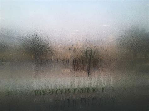 Free shipping · five star products · today's top picks · best value High humidity expected throughout the week | Weather ...