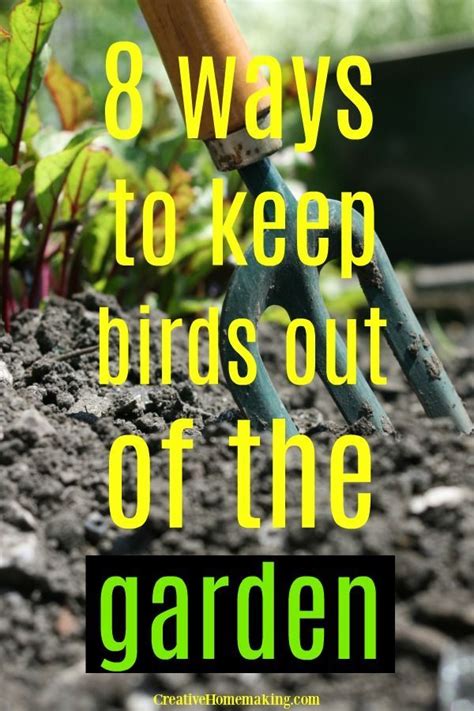 Ways To Keep Birds Out Of The Garden Scarecrows For Garden