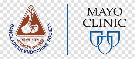 Mayo Clinic Logo Mayo Clinic Logo Alphabet Label Transparent Png