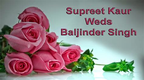 Live Wedding Ceremony Supreet Kaur Weds Baljinder Singh Youtube