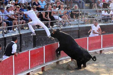 Manade Paulin Elevage De Taureaux De Camargue Pour La Course