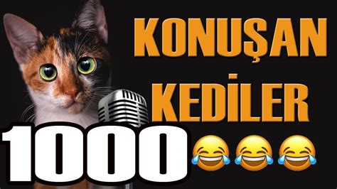 Konuşan Kediler 1000 En Komik Kedi Videoları Youtube