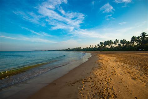 Ahungalla Beach Ahungalla Sri Lanka Camelkw Flickr