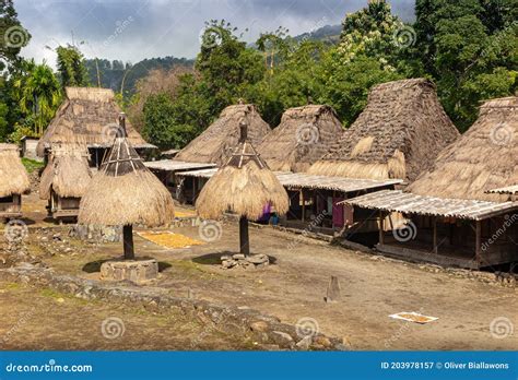 Traditional Village Bena On Flores Ntt Indonesia Stock Image Image Of Landscape Nature
