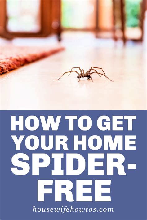 Get Rid Of Spiders In House F