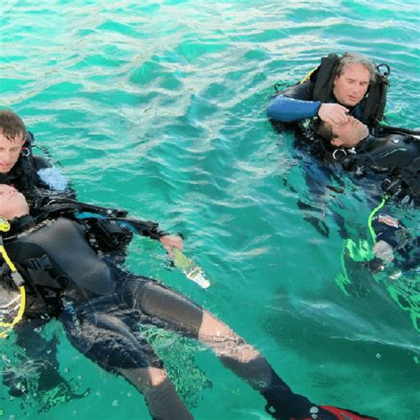 Small size boxes from ups run between $10 and $30 a month, medium size boxes run between $20 what is required to open a po box? Cairns Open Water Dive Courses - Discounted prices and ...