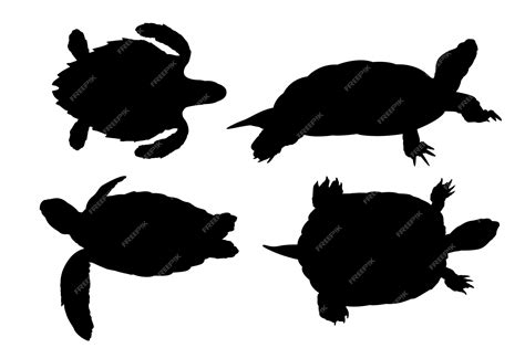 Premium Vector Hand Drawn Turtle Silhouette Collection