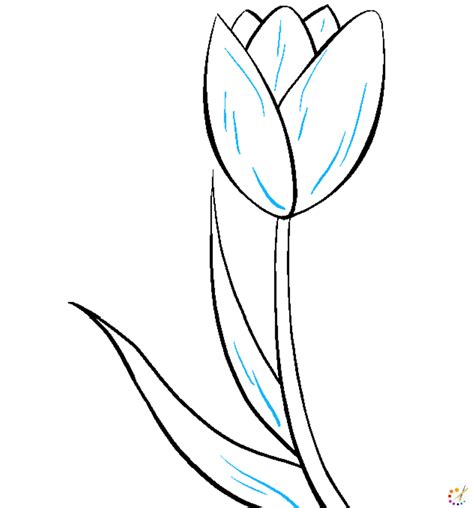 Draw Tulip For Kids Archives How To Draw