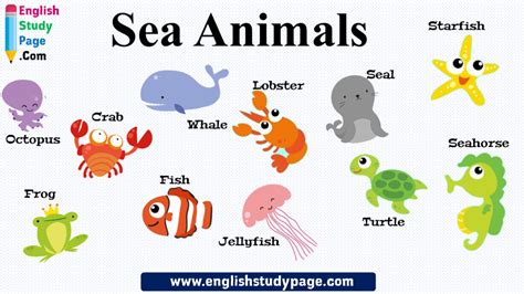 10 Sea Animals Names In English English Study Page