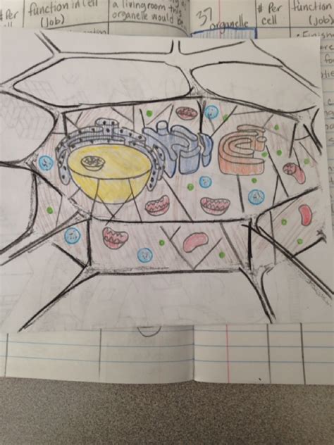 Maybe you would like to learn more about one of these? Diagram of cell: cover page of cell factory - Sulli's ...
