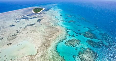 Great Barrier Reef Tours Trips To Australia 202021