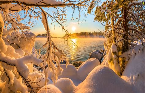 Great Sunsets Winter Fog Forest Trees Branch Pics Snowy Lake