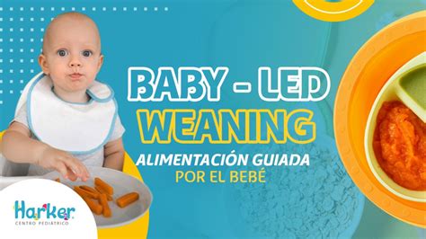 BABY LED WEANING ALIMENTACIÓN GUIADA POR EL BEBÉ Harker Centro Pediátrico
