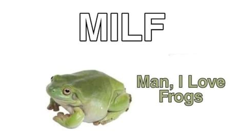 30 Hoppity Wholesome Frog Memes To Lighten The Mood Funny Frogs Frog Frog Pictures
