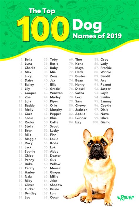 Cute Cute Dog Names Top Dog Names Cute Names For Dogs