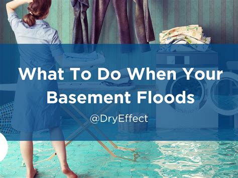 What To Do When Your Basement Floods Dry Effect