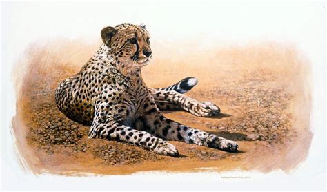Johan Hoekstra Wildlife Paintings Wildlife Artists Animal Paintings